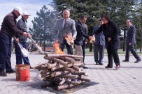 GÖÇMEN KUŞLAR - Nevruz Bayramı Bilecik Şeyh Edebali Üniversitesinde Coşkuyla Kutlandı