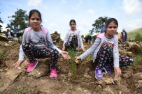 HÜSAMETTIN ÇETINKAYA - Ormancılık Günü