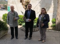 NEVRUZ - Söke Rotary Kulüp'ten Okullara Fıstık Çamı Fidanı