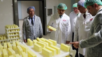 TMSF'deki Aynes, Cirosunu Yüzde 40 Artırdı