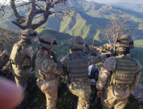 SINIR ÖTESİ - Abdullah Ağar açıkladı: Sessiz sedasız sınır ötesi operasyon başlatıldı