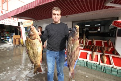 Beyşehir'de Baraj Balıkları Tezgahtaki Yerlerini Aldı