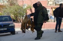 FÜNYE - Bilecik'te Şüpheli Bavul Alarmı