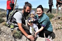 Datça'da Fidanlar Toprakla Buluştu