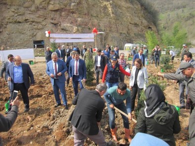 Fatsa'da 'Afrin Şehitleri Hatıra Ormanı' Kuruldu