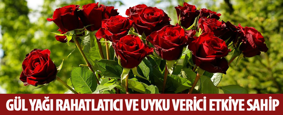 'Gül, bildiğinizden de farklı bir çiçek'