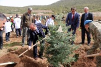 ŞEHMUS GÜNAYDıN - Isparta'da Fidan Dikim Etkinliği