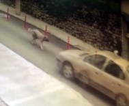 KEMAL ÇEBER - Köpeğe Çarpıp Kaçan Resmi Plakalı Aracın Sürücüsüne Soruşturma Açıldı