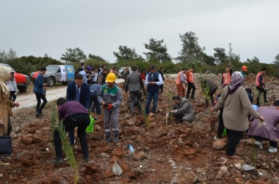 Milas'ta 'Şehit Astsubay Musa Özalkan' Adına 'Hatıra Ormanı' Oluşturuldu