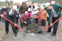 SELAMI KAPANKAYA - Niksar'da '15 Temmuz Şehitleri Hatıra Ormanı' Kuruldu