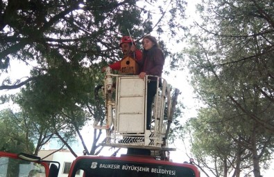 Okul Bahçesine Kuş Kafesi Yerleştirdiler