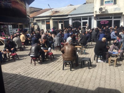 Patnos'a Bahar Geldi, Çay Bahçeleri Doldu Taştı