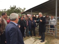 ÇAKAL - 25 Baş Damızlık Hayvan Satışı İhalesi Yapıldı