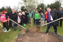 MUSTAFA GÜLER - Gebze'de Bin Fidan Toprağa Can Verecek