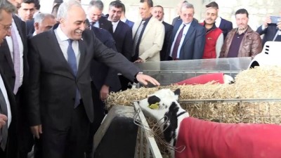 Gıda, Tarım Ve Hayvancılık Bakanı Fakıbaba Açıklaması
