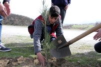 BARAJ GÖLETİ - Hizan'da Ağaçlandırma Çalışması