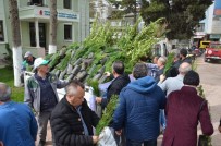 BÜLENT BAYRAKTAR - İzniklilere 5 Bin Fidan Dağıtıldı