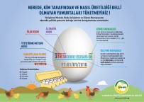 ORGANİK TAVUK - 'Kodlu Yumurta Uygulaması' Tüketicinin Yanıltılmasının Önüne Geçecek