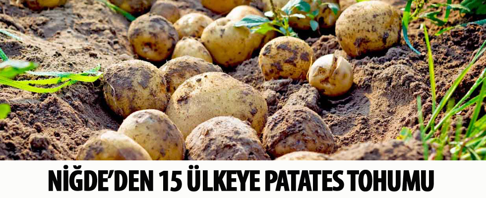 'Niğde'den 15 ülkeye patates tohumu satacağız'