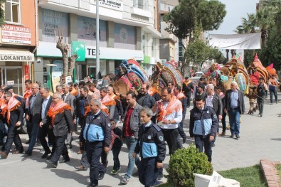 Saruhanlı'da Develer Görücüye Çıktı