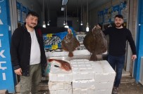 BALIK TUTMAK - Bin 200 Liraya Dev Kalkan Balığı