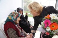 AKYARLAR - Bodrum'u Bodrum Yapan Çınarlar Unutulmadı