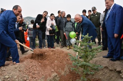 Bölge Müdürü Nane Açıklaması 'Amasya'da Son 15 Yılda 31,8 Milyon Fidan Dikildi'