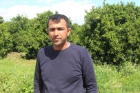 ORMANA - Eski Kocaya Ormanda Kafasına Silah Dayayıp Zorla Senet İmzalattılar İddiası