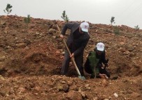 ORMANA - Görme Engelliler Ormancılarla Birlikte Fidan Dikti