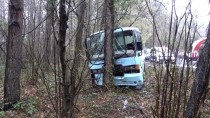 ZEKERIYAKÖY - Sarıyer'de Minibüs Ağaca Çarptı Açıklaması 5 Yaralı