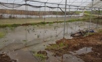 İBRAHİM ATEŞ - Söğüt'te Seraları Su Bastı, Çiftçiler Büyük Zarar Gördü