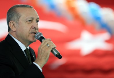 Cumhurbaşkanı Erdoğan Giresun'da...(2)
