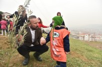 İzmit'te Zeytin Dalı Hatıra Ormanı Kuruldu