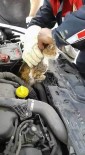 ALIYA İZZET BEGOVIÇ - Otomobilin Motorunda Sıkışan Kediyi Kurtarma Operasyonu