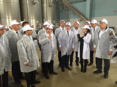 AK Parti'li Bilen Açıklaması 'Üzüm Silah Zoruyla Yedirilecek Bir Şey Değil'