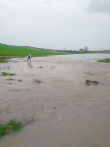 Edirne'de Sağanak Yağış Göl Ve Barajları Doldurdu