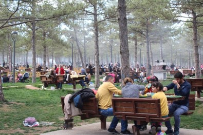 Elazığ'da Bahar Havası Piknikçileri Sevindirdi