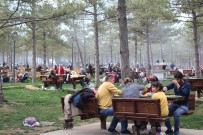 FETHİ SEKİN - Elazığ'da Bahar Havası Piknikçileri Sevindirdi