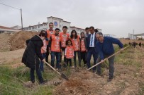 FİDAN DİKİM TÖRENİ - Özel İbrahim Yücel'de 'Ağaç Bayramı' Etkinliği