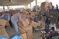 TAŞKıRAN - Saruhanlı'da Tütün Üreticileri Fiyatlardan Şikayetçi