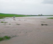 SAĞANAK YAĞMUR - Tarım Arazileri Sular Altında Kaldı