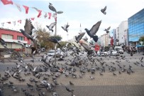 İBRAHIM YıLMAZ - Başkan Göksu Açıklaması 'İstanbul'un En Güvenli İlçesi Olacağız'