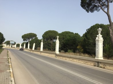 Dünyaca Ünlü Otele Dadanan Hırsızlar Yine İş Başı Yaptı