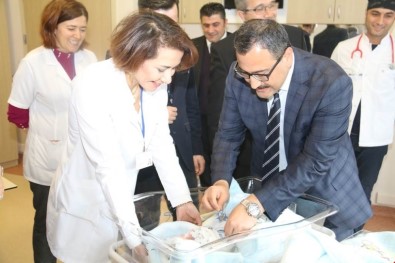 Giresun Üniversitesi Kadın Doğum Ve Çocuk Hastalıkları Eğitim Ve Araştırma Hastanesi Bölgeye Hizmet Veriyor