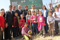 MAHMUT YıLMAZ - Gönül Elçileri Mersin'de 1 Milyon Fidan Dikti