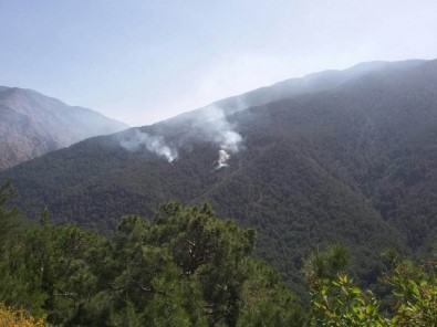 Hatay'da Teröristlerin Çıkardığı Orman Yangını Kontrol Altına Alındı