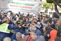 MAHMUT YıLMAZ - Mersin'de Fidan Dağıtımına Yoğun İlgi