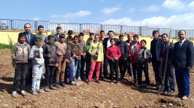 Musabeyli'de Öğrenciler Fidan Dikti
