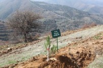 ORMANA - Obeziteyi Yenen Hastaları İçin Orman Kuruyor