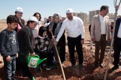 Şanlıurfa'da Ağaç Dikimi Devam Ediyor